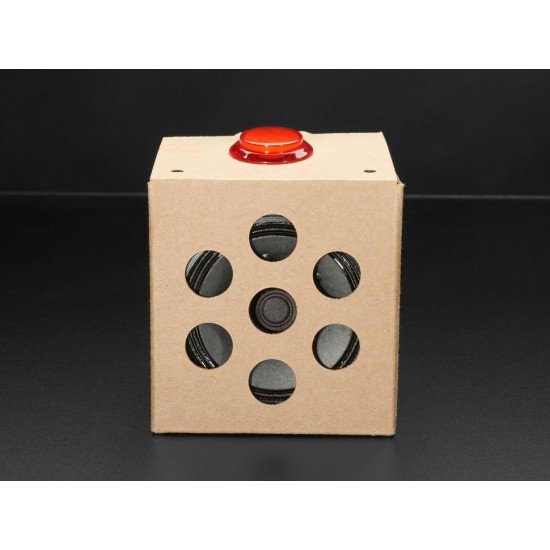 Google AIY Voice Kit For Raspberry Pi
