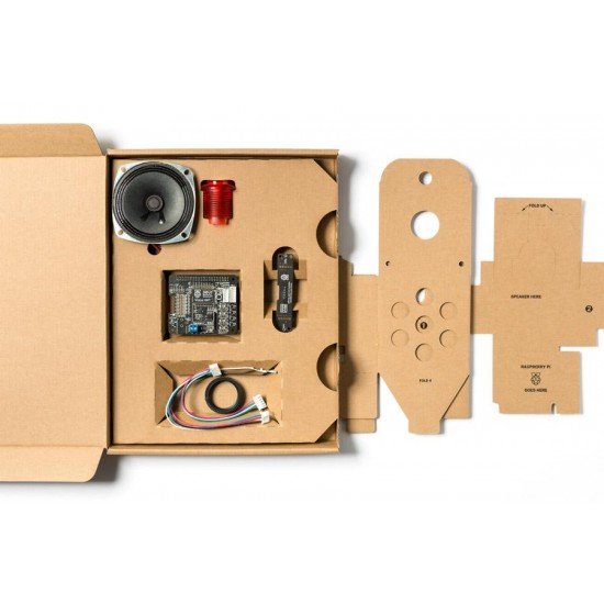 Google AIY Voice Kit For Raspberry Pi